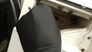 Как удалить ржавчину с порошка приемника на стиральной машине.