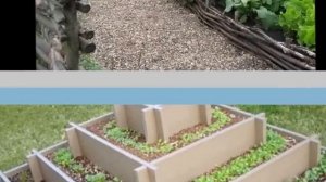 Каким может быть удачный дизайн огорода на даче