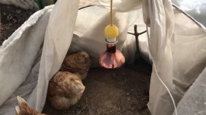 Самый простой способ отопления теплицы для выращивания рассады и зелени .