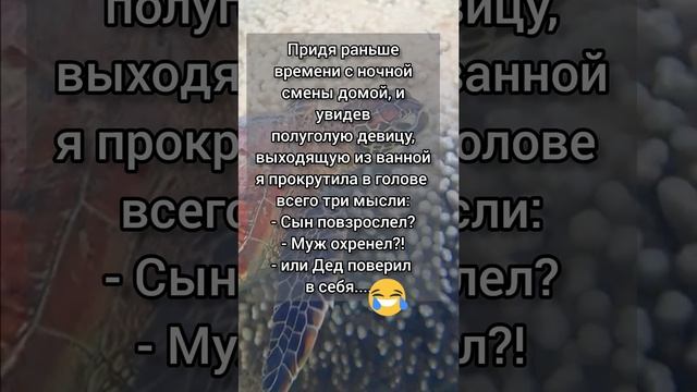 Анекдот от Василича