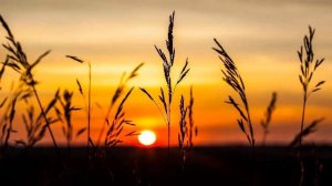 Быстрые Деньги Займ На Карту Сбербанк