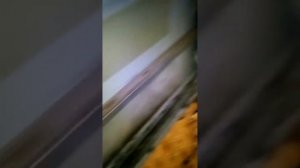 Проблема стеклоподъемника на АУДИ А 6