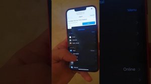 Iphone 13 bypass DNS server