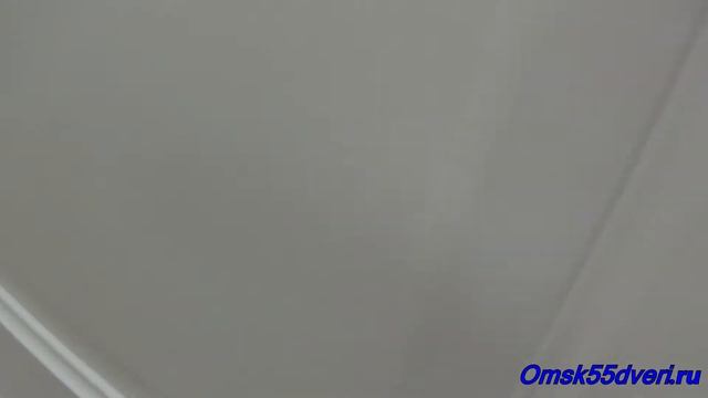 omsk55dveri.ru Эрмитаж-1 Vinyl Белый Стекло Мателюкс Галере межкомнатная дверь смотреть онлайн