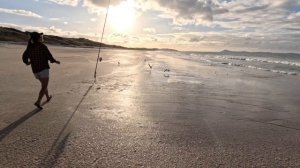 Incredible Fishing Spot In The Far North - Catching Trevally Off The Beach