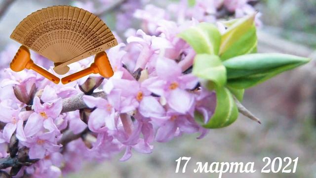 Грабли веерные Для любителей канала Грабли Лайф 17 03 21 смотреть онлайн