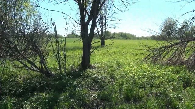 Две деревни КОП в Смоленской области, монеты найдены