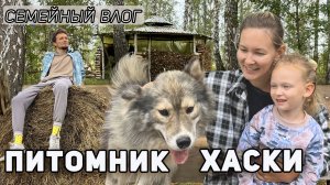 Где пообниматься с хаски в Новосибирске