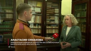 В осах накапливается микропластик