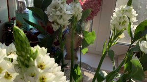 На воронежских просторах