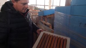 Полная распродажа промышленной пасеки 4000 пчелосемей  Ульи рамки, пчелосемьи, линия по откачке мед