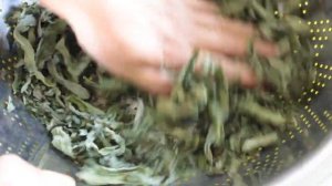 Как сушить МЯТУ в домашних условиях на Зиму! / Yamyaşıl Nanə Qurusu /How to dry mint