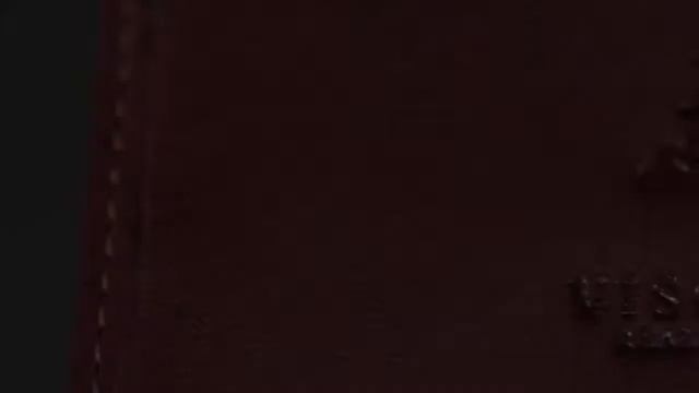 Мужское портмоне Visconti ALP-86 с защитой RFID-TOM смотреть онлайн