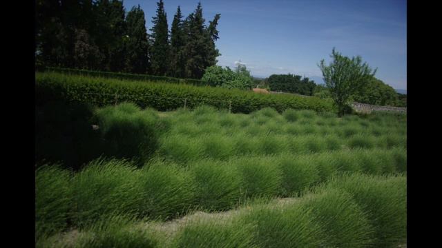 Balbastre - A Cei-ci le moître De tô l'univar смотреть онлайн