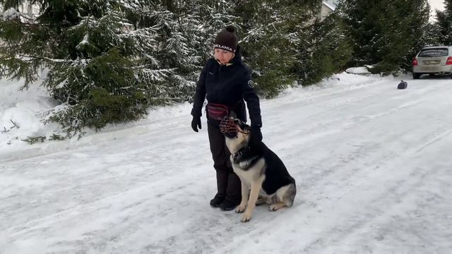 Подход к судье по испытаниям ОКД.