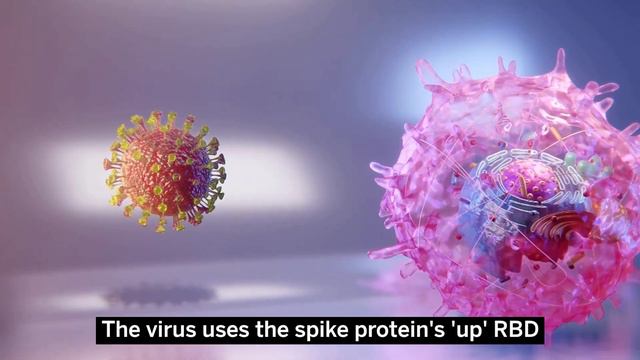 In depth: How the coronavirus (SARS-Cov-2) infects human cells смотреть онлайн