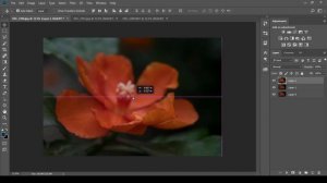 Focus Stacking In Photoshop.. English Tutorial