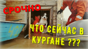 «Ситуация остаётся сложной!» В регионах России объявлена срочная эвакуация | Курган, Тобол, Оренбург