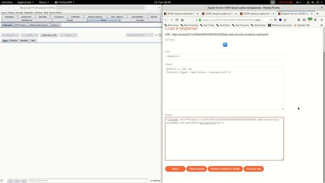 DOM based cookie manipulation (Video solution) смотреть онлайн