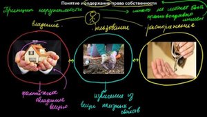 114  Понятие и содержание права собственности