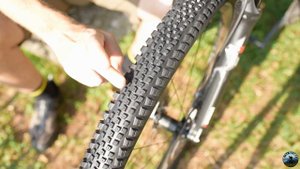 In test: WTB Riddler TCS Light / Fast Rolling 29 x 2.25"
