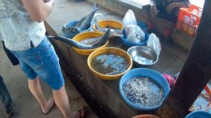 Индия ГОА дешевые лобстеры и баракуда.