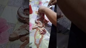 Казы из говядины.