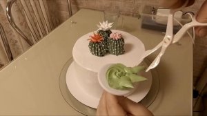 МИНИ САД ИЗ КАКТУСОВ И СУККУЛЕНТОВ. Торт с кактусами и суккулентами. БЗК.