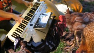 Säkkijärven Polkka - Карело "финская полька"