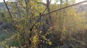 Новый забор из сетки рабица. Хотели поставить 2 метровый, но соседка против.