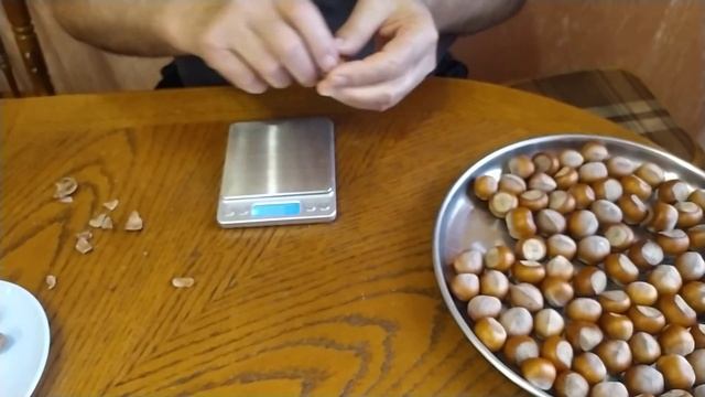 ФУНДУК ГИГАНТ ПОСЛЕ УСУШКИ смотреть онлайн