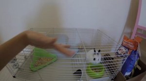 ВЛОГ. Купили кролика!?Знакомьтесь,Мася!?