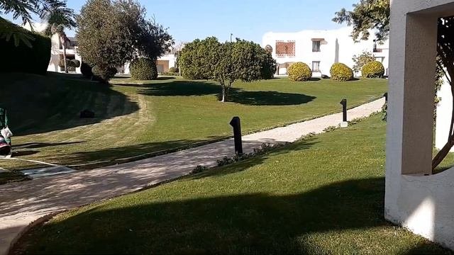 Marriott 5* Sharm El Sheikh.  Шарм Эль Шейх. декабрь 2019. обзор