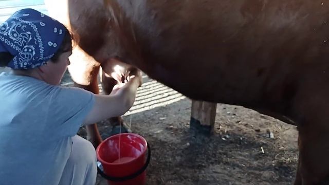 28 июня 2021 г.клеим обои в прихожей! смотреть онлайн