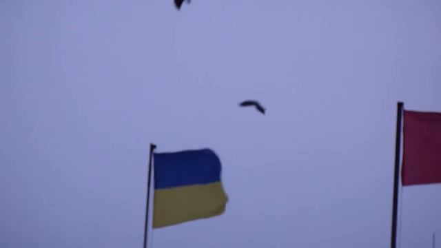 Вороны пытаются сесть на флаг на ветру смотреть онлайн