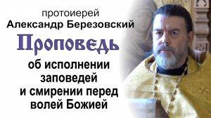 Об исполнении заповедей и смирении перед волей Божией (2022.08.27). Протоиерей Александр Березовский