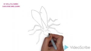 How to Draw a Fly / Как нарисовать муху