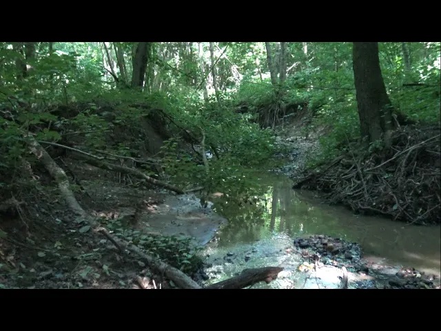 По старым местам! Золота 0,1- грамма! смотреть онлайн