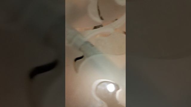 кухонный стол своими руками смотреть онлайн