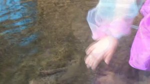 4 СТИХИИ. Визитка на конкурс красоты "Мисс КГАУ - 2014".