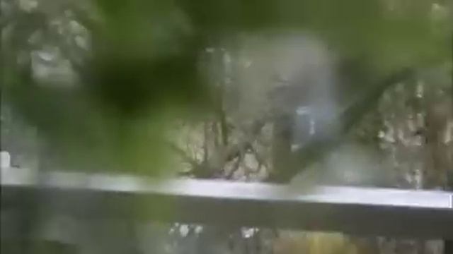 Panasonic NV-GS 60 Test смотреть онлайн