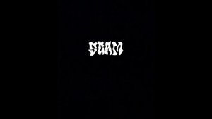 SCALLY MILANO-Два.  feat&ромчик163 и еще кто-то