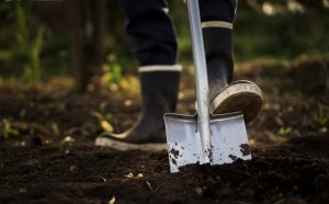 Это опасно для почвы! Что делать с открытой землёй или после сбора урожая