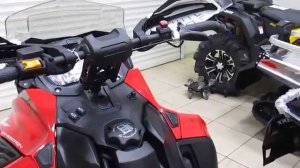 RAVE 800 E-Tec 2015 LYNX BRP