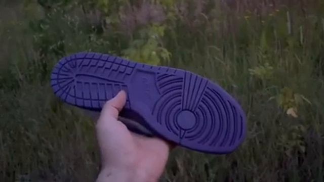 Nike s dunk purple