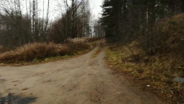 Земельный участок в Карелии смотреть онлайн