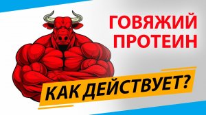 Как изменит тело говяжий протеин?