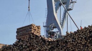 отпуск в Посёлке Новокемский 09.2020 , ч.9, на реке Кема(1)