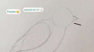 Как нарисовать птицу ??☀️?легко и просто для детей ???