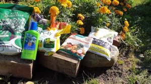 Органические удобрения или минеральные удобрения? Вечный вопрос - что лучше?